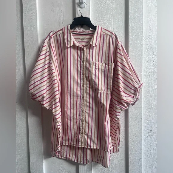 Pilcro Painter Buttondown Shirt - 2X - Picture 5 of 10